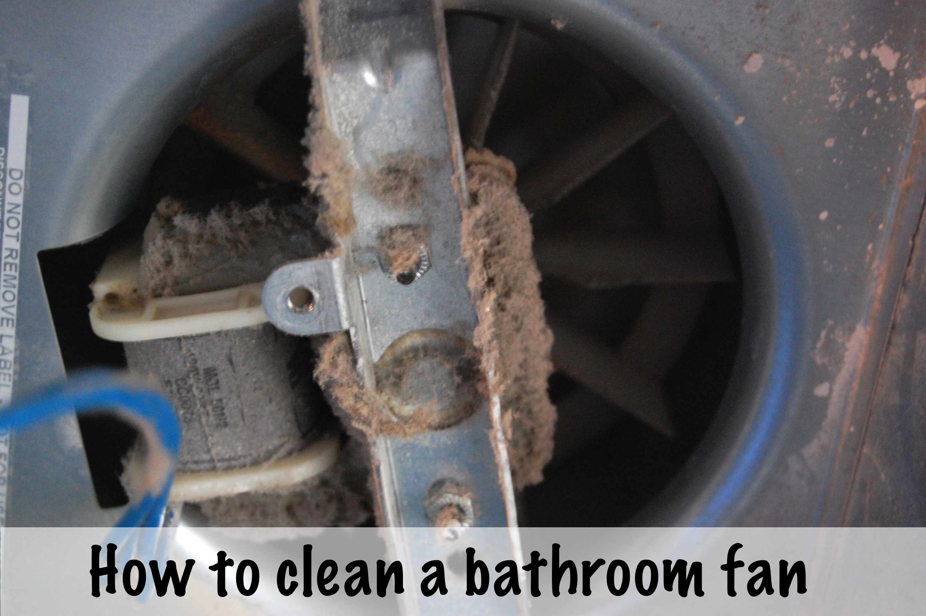 Cleaning your bathroom fan (with a light)  DIY Project-aholic